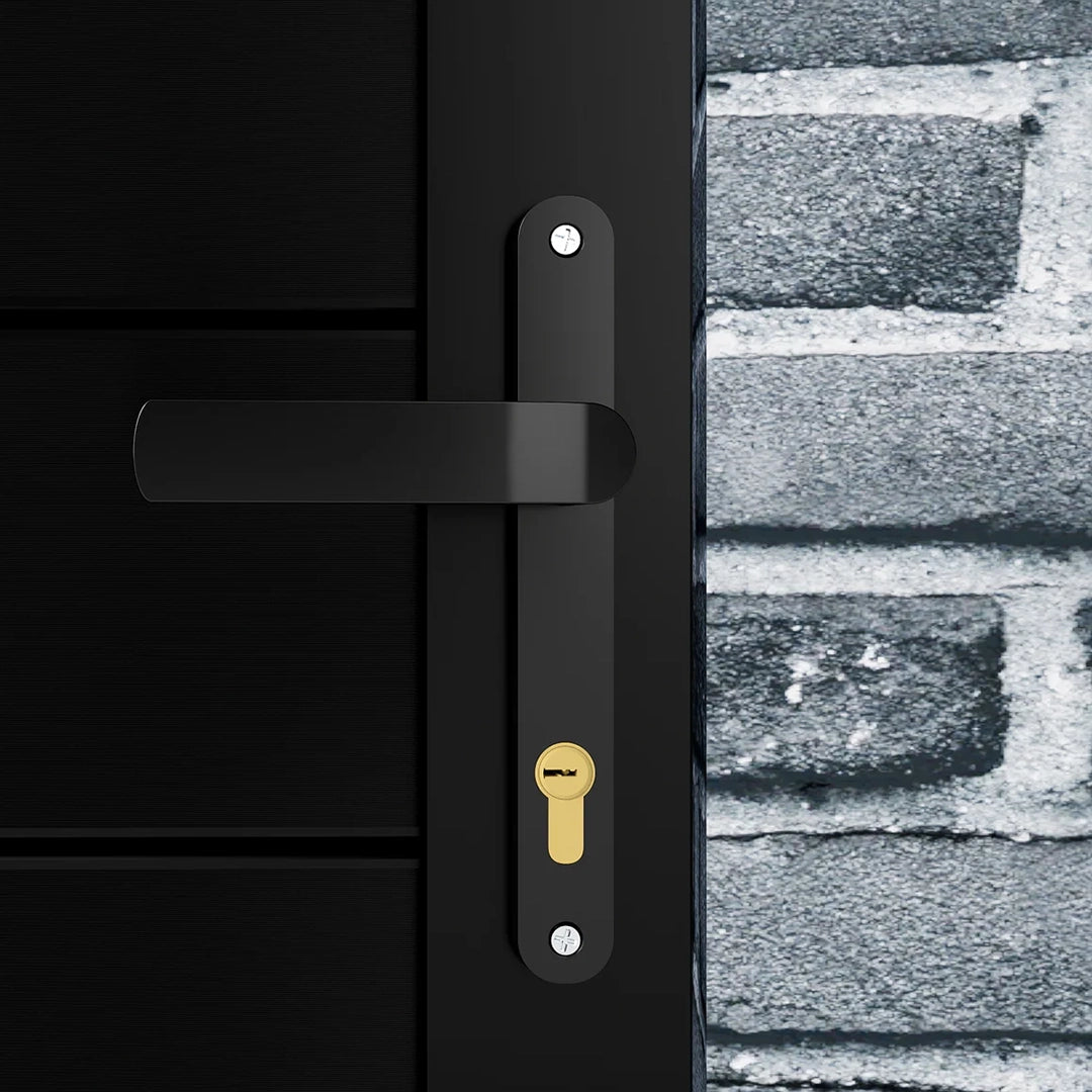 Stylish black outdoor privacy gate with single door design
