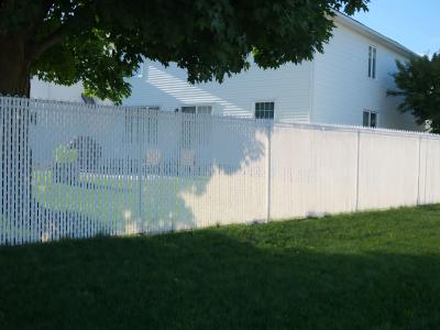 Cheap Privacy Fence Ideas: Top Budget Solutions