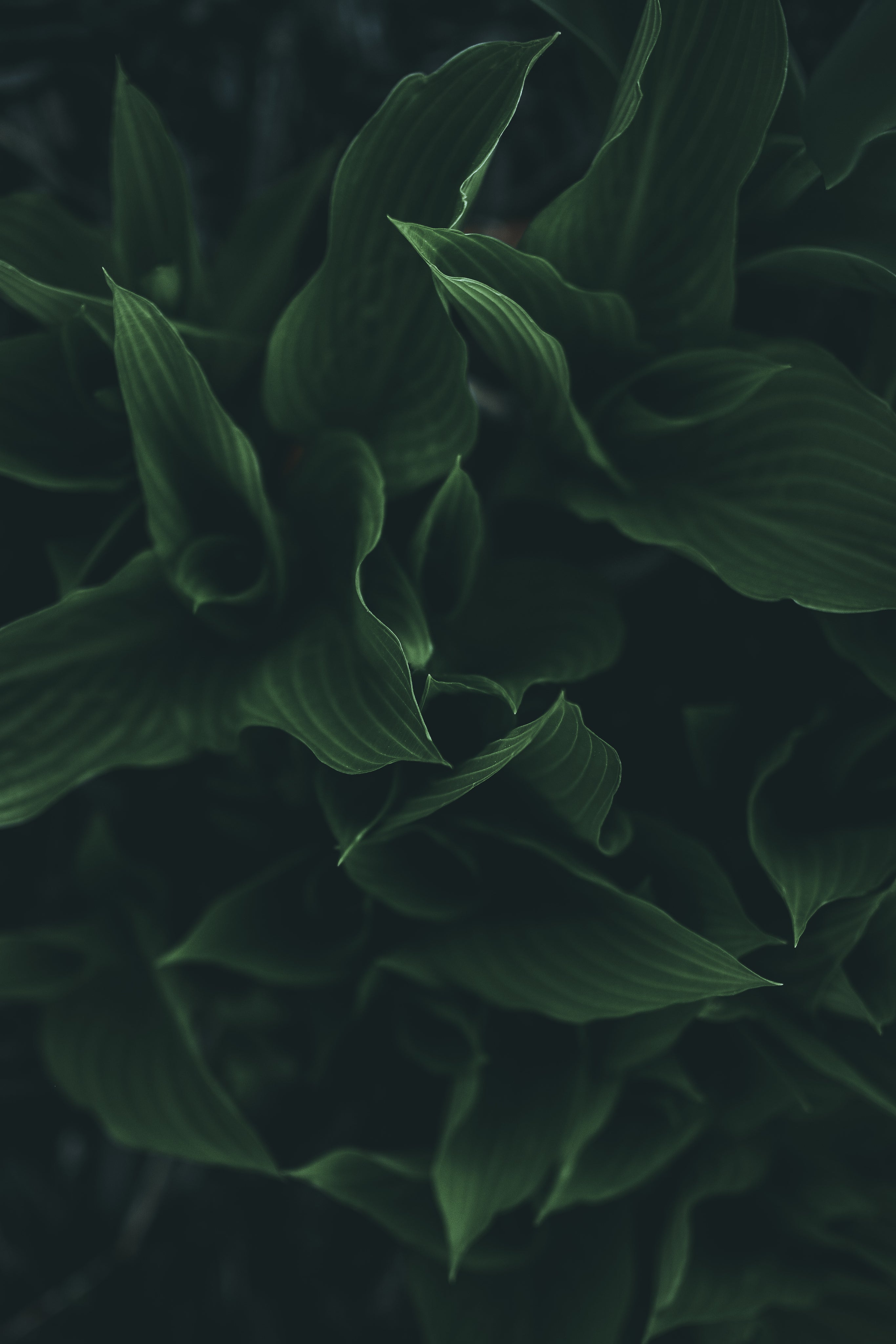 Our philosophy: environmental protection